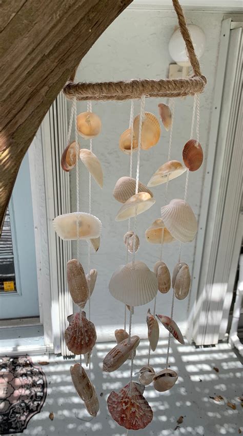 Florida Sea Shells Wind Chimes Palm Beach Seashells Olive Etsy