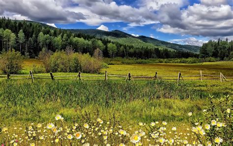 Flowers Meadow Fence Rustic Grass Mountains Hills Trees Forest