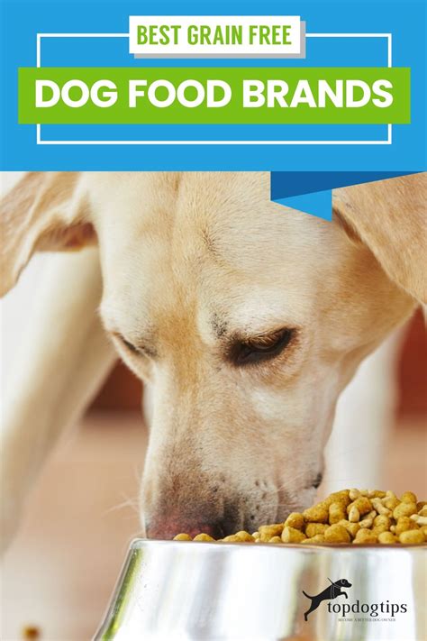Top 50 Cheap Best Grain Free Dog Food Brands