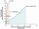 Comparison of the Properties of Spider Silk & Kevlar | Spider silk ...