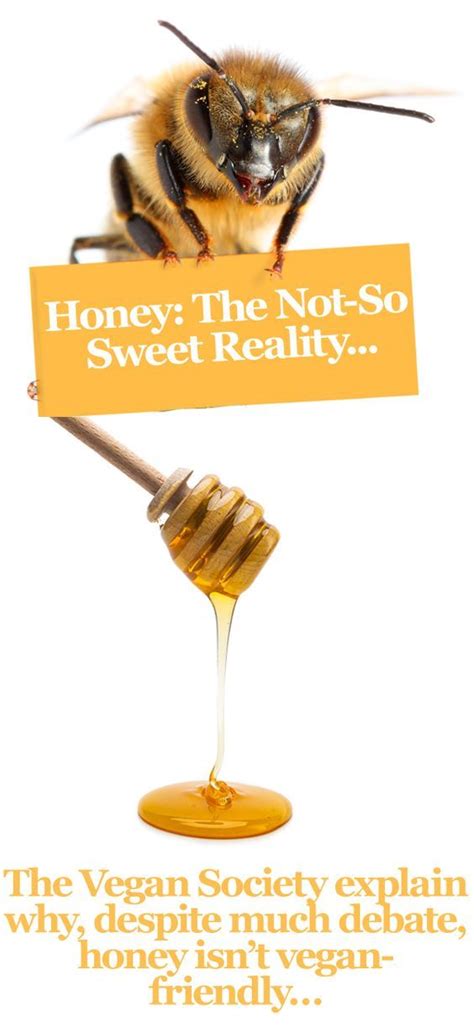 Honey The Not So Sweet Reality Behind Why Honey Isnt Vegan Vegan