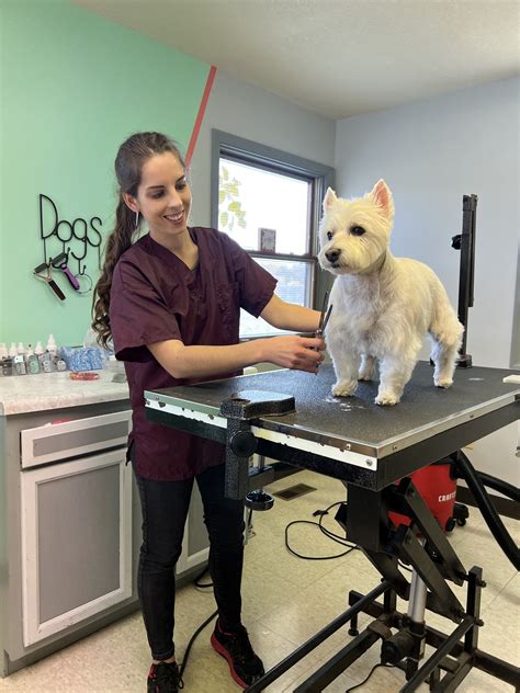 Fur-Tastic Pups Dog Grooming, LLC