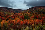File:Autumn-mountain-foliage - Virginia - ForestWander.jpg - Wikimedia ...