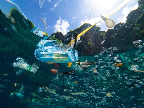 Urge Mitigar Contaminación De Océanos Con Plástico Revista Tqv