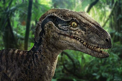 Jurassicworldblueraptorcloseup Jurassic Pedia