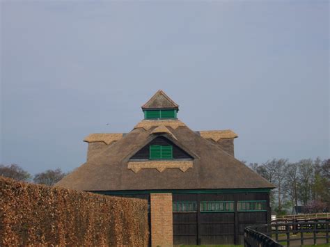 Grammarput the verbs in brackets into the present continuous.7 eric and pamela. Cobb Thatching | Information - Cobb Thatching