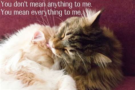 Cómo se dice en castellano you are so mean in a playful situation with a good friend? "You Mean Everything To Me" Quotes, Poems, & Photos | HubPages