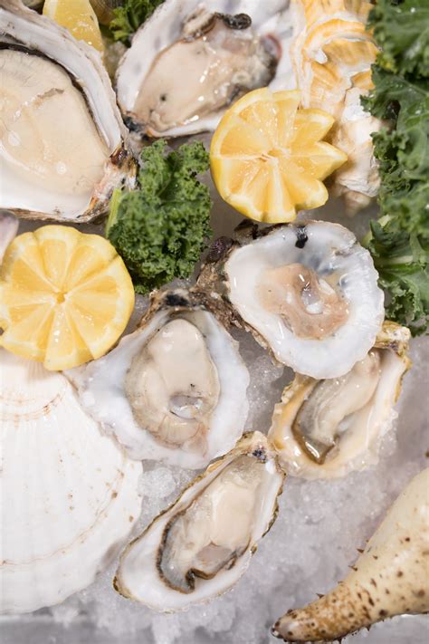 Sierra Gold Seafood Market Commerical 68-(ZF-7645-01583-1-131) - Sierra