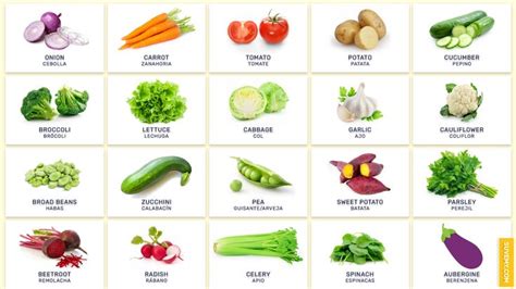 Vegetales En Inglés Verduras En Ingles Lista De Vegetales Colores