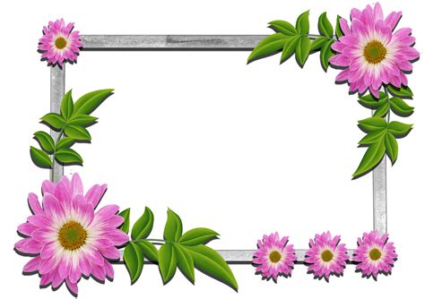 Flower Frame Png Clipart Best
