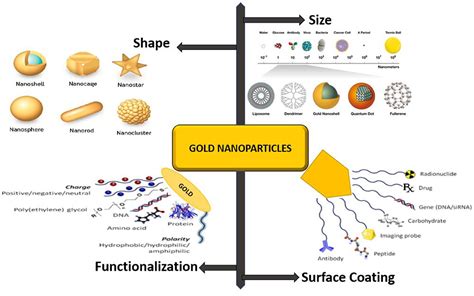 Surface Coating Services For Gold Nanoparticles Cd Bioparticles
