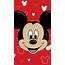 Mickey And Minnie Mouse Wallpaper 64  Images