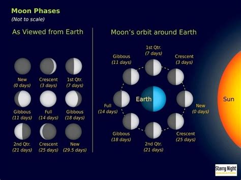 The 8 Moon Phases Explained Calendarr