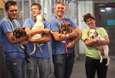 Women's Shelters To Volunteer At Near Me at George Hsieh blog