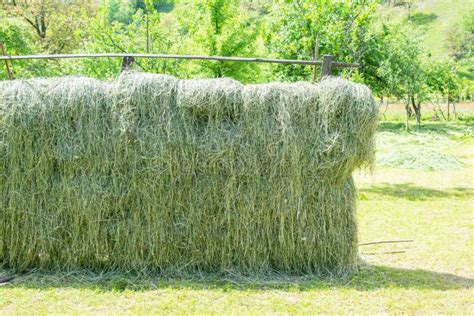 Haystack A Bale Of Hay Group Agriculture Farm And Farming Symbol Of