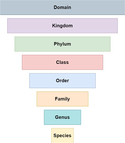 Classification System Of Living Organisms Simplebiol