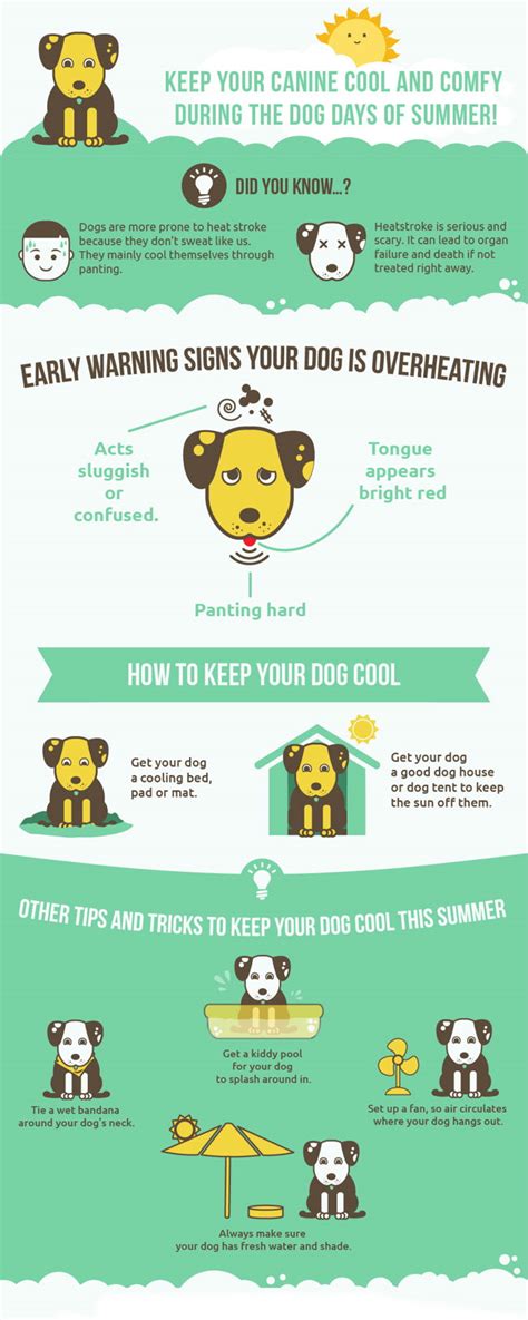 Keeping Your Pooch Cool During the Dog Days of Summer ...