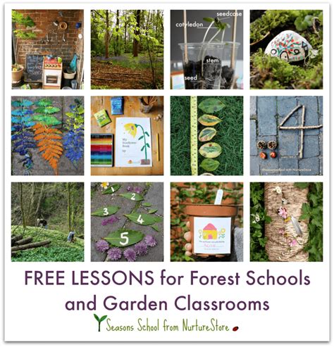 Forest School Lesson Plans How To Open The Session Nurturestore