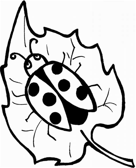 Ladybug Coloring Pattern Coloring Pages