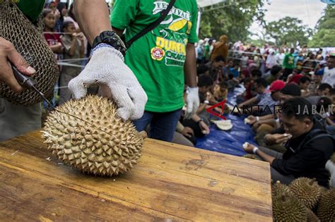 Should rename pejabat hantu kuantan. 17+ Gambar Pohon Durian Animasi - Cari Gambar Keren HD