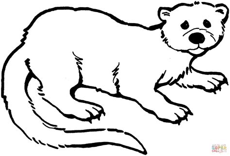 Otter Coloring Page Free Printable Coloring Pages
