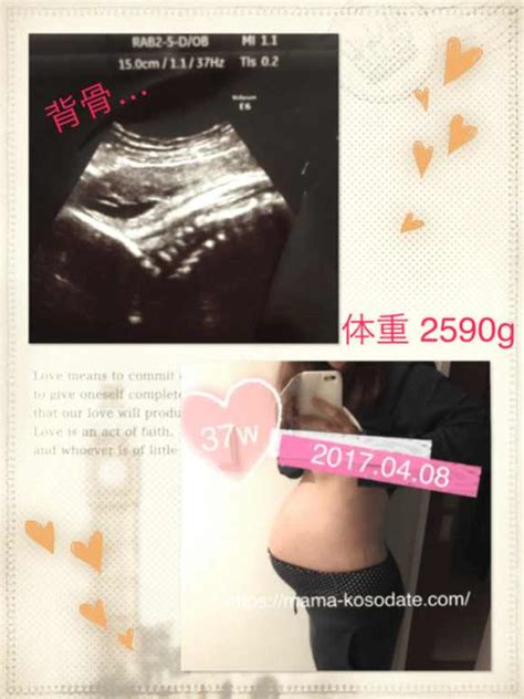 【妊娠後期】8ヶ月～10ヶ月の体調、お腹、エコー写真のまとめ ...