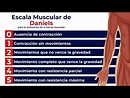 Evaluación Muscular de acuerdo a la Escala de Daniels - YouTube