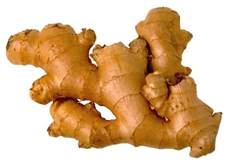 It has set a strong footprint in the country, having completed many landmark projects over the past 35 years. GINGER (Adrak) - Is highly digestive, useful in Vomiting ...