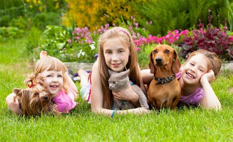 Pets N More 15 Remarkable Benefits Of Kids Having Pets