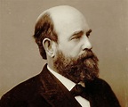 Henry George Biography - Facts, Childhood, Family Life & Achievements ...