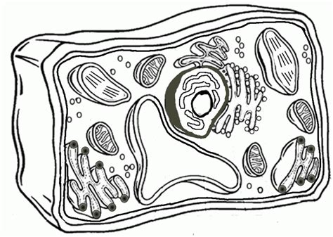 Cell Coloring Page Coloring Home