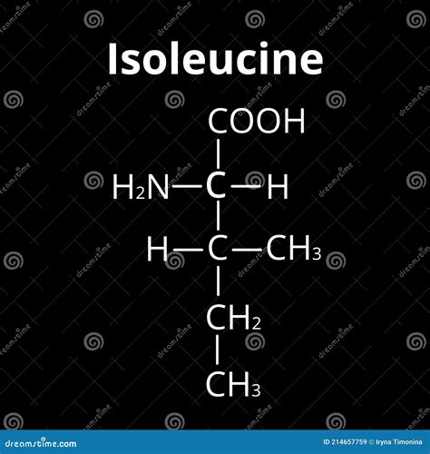 Isoleucine Amino Acid Chemical Molecular Formula Isoleucine Amino Acid Stock Vector