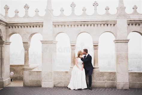 Beautiful Bride And Groom Embracing And Kissing On Their Wedding Day