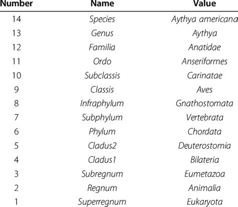 Linnaean Taxonomy Levels Linnaean Taxonomy Levels Download Table
