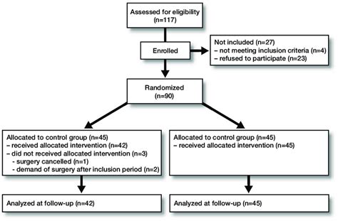 Flow Chart Of Patients In The Randomized Clinical Trial Download