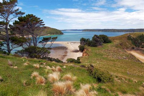 The Complete Guide To New Zealands Stewart Island