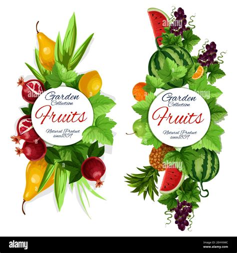Fruits And Leaves Banners Vector Food Natural Pear And Pomegranate