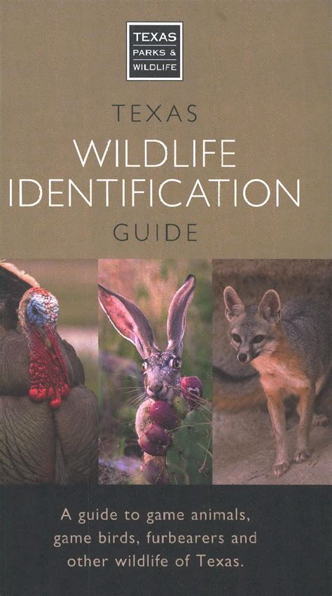 Texas Wildlife Identification Guide The Portal To Texas History