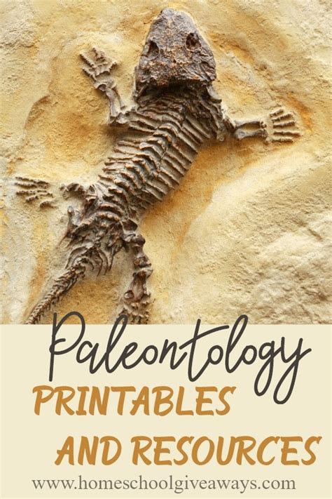 Dinosaur fossil digging kit for kids, dinosaur science kit, paleontology & archaeology educational ,birthday party gift for children. Paleontology Printables and Resources - Homeschool Giveaways