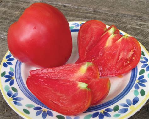 Anna Russian Tomato Seeds Urban Farmer