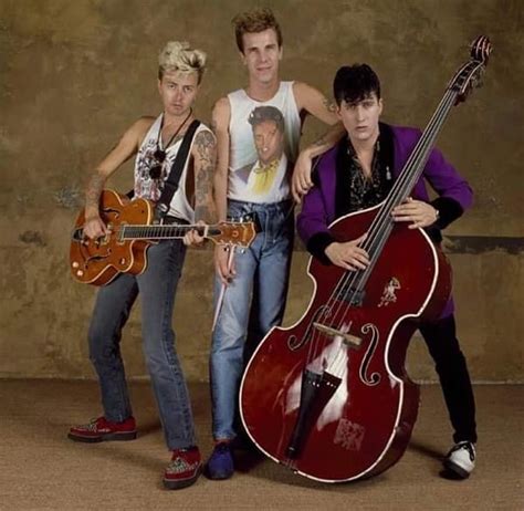 Stray Cats Music Finder