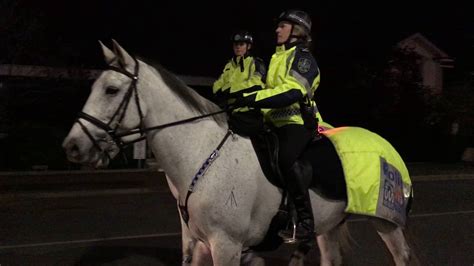Royal Adelaide Show 2016 Police Horses Youtube