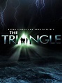 The Triangle - Série 2005 - AdoroCinema