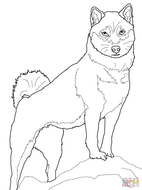 Shiba Inu Coloring Page Free Printable Coloring Pages