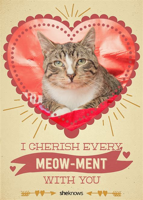 12 Kitty Cat Valentines Day Cards That Will Make You Aww Sheknows
