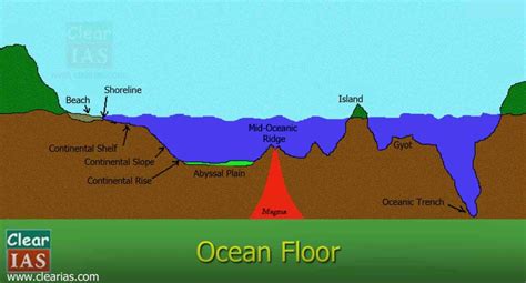 Ocean Floor Everything You Need To Know Clearias