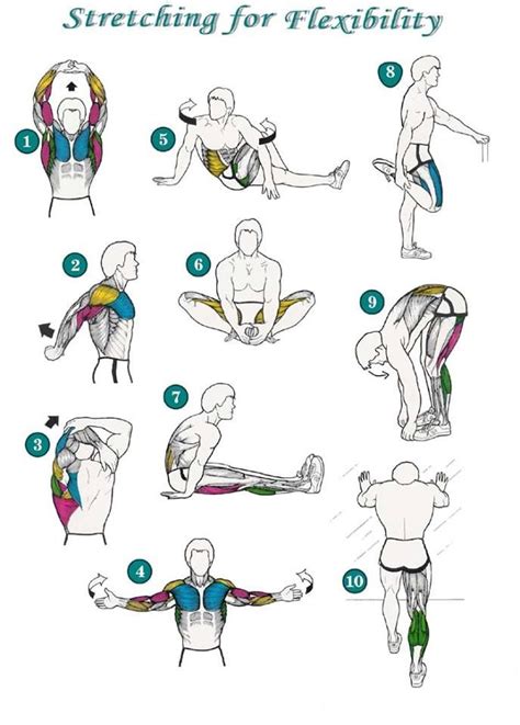 #contortion #flexiblealesya #handstand #flexibility #flexible #backbend #headsit #stretching #contortionist #contorsion #acrobatics #circusgirl #circus #flexshow #gymnast #acrobat. Free Flexibility Cliparts Groups, Download Free Clip Art ...