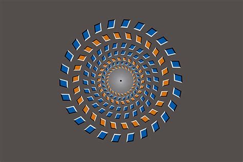 Pinna Brelstaff Illusion Of Motion Optical Illusions Illusions