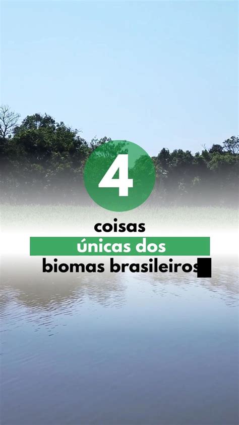 Coisas Nicas Dos Biomas Brasileiros Biomas Bioma Brasileiro