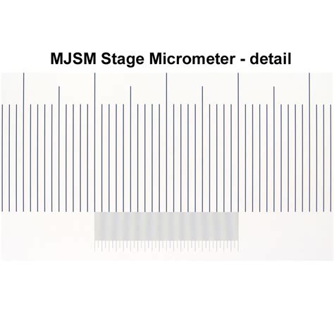 Mjsm Premium Stage Micrometer Martin Microscope